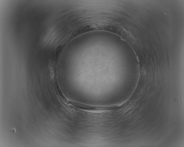 X0000072971012200607211217