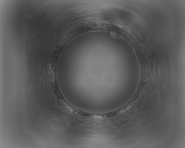 X0000072971013200607211217