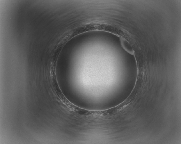 X0000072971014200607211217