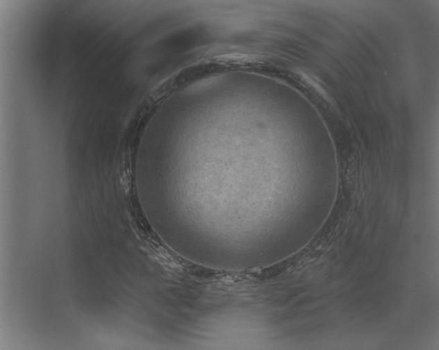 X0000072971015200607211218