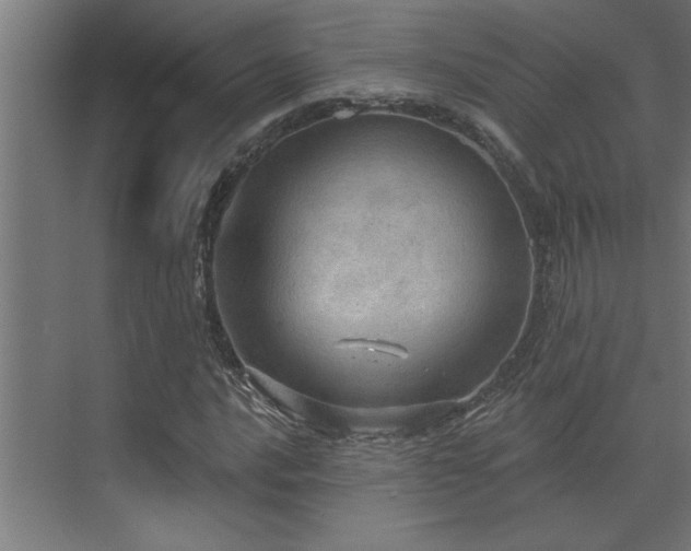 X0000072971016200607211218