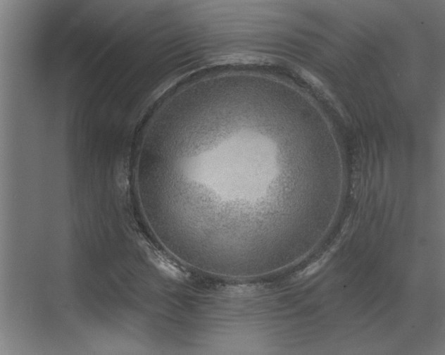 X0000072971017200607211218