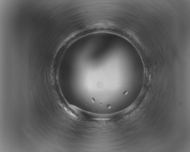 X0000072971018200607211218