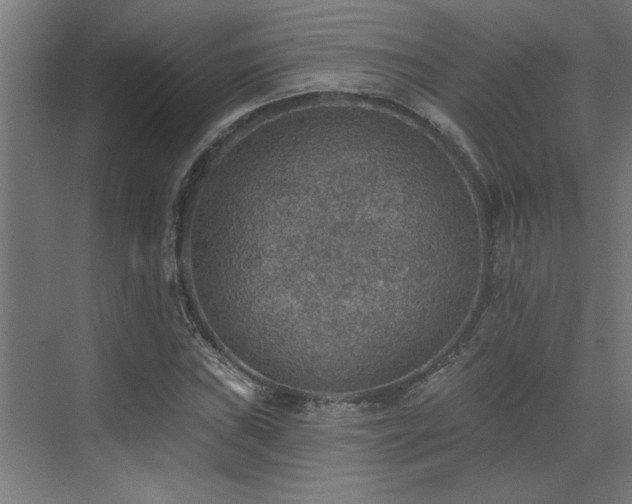 X0000072971019200607211218