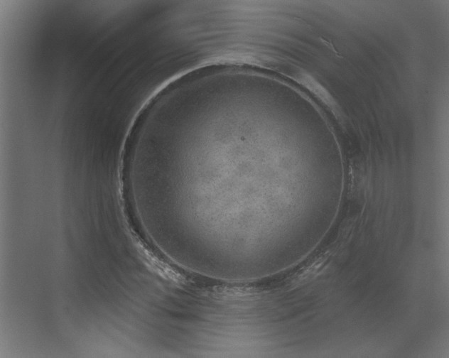 X0000072971020200607211218