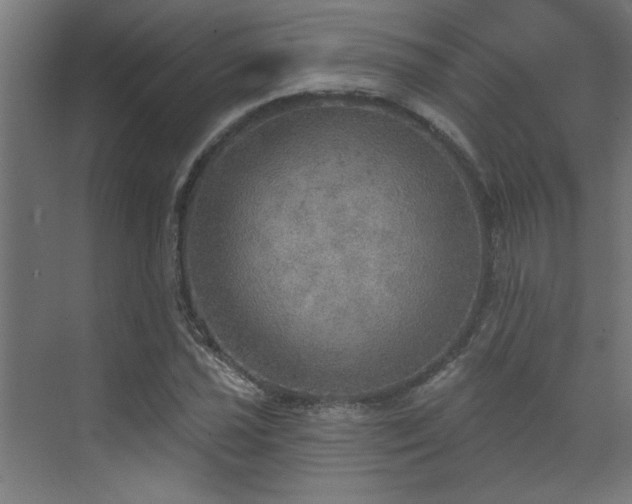 X0000072971021200607211218