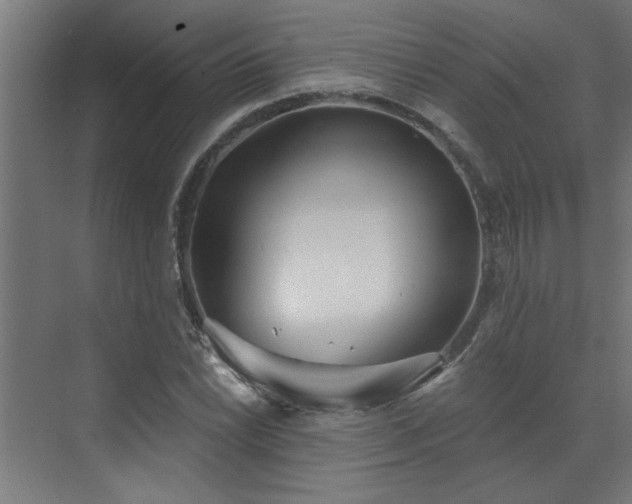 X0000072971022200607211218