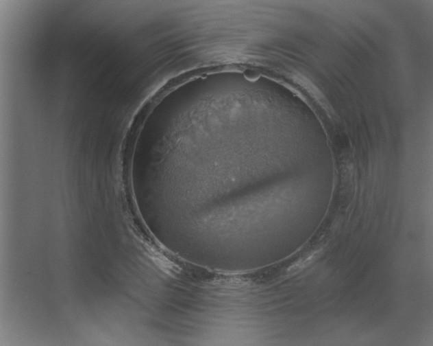 X0000072971023200607211218