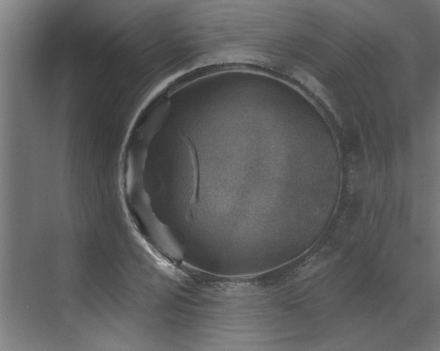 X0000072971024200607211218