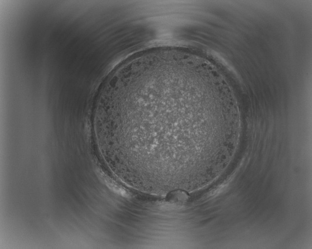 X0000072971025200607211218