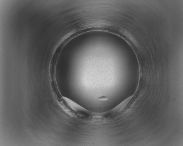 X0000072971026200607211218