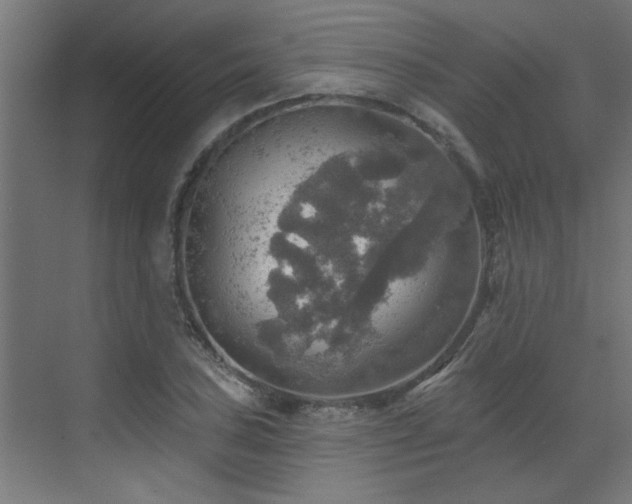 X0000072971027200607211218