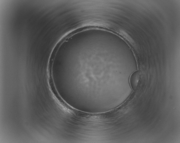 X0000072971028200607211218