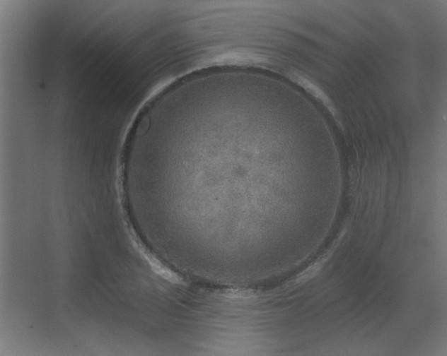 X0000072971029200607211218