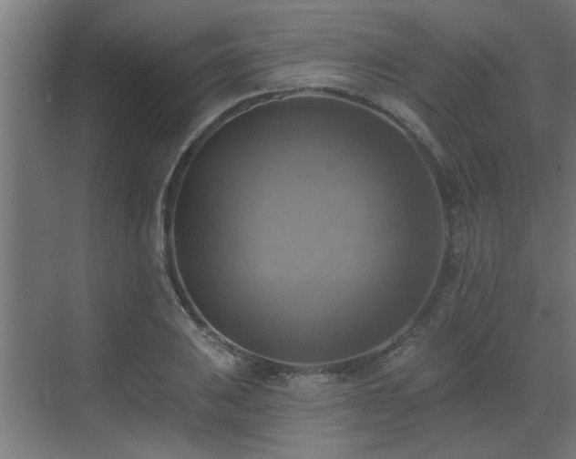 X0000072971031200607211218