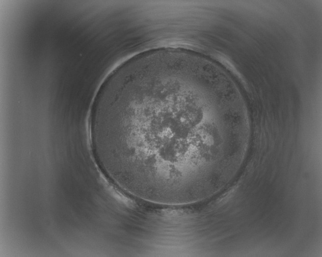 X0000072971032200607211218