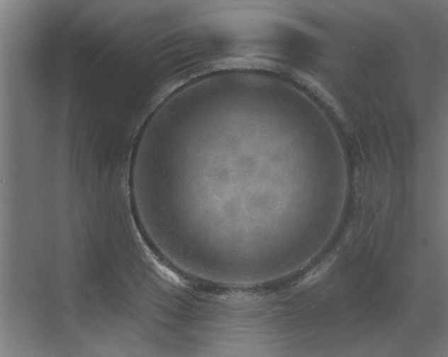 X0000072971033200607211218