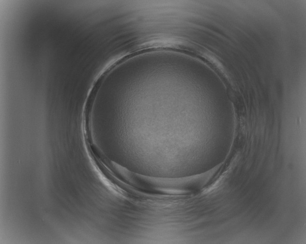 X0000072971034200607211218