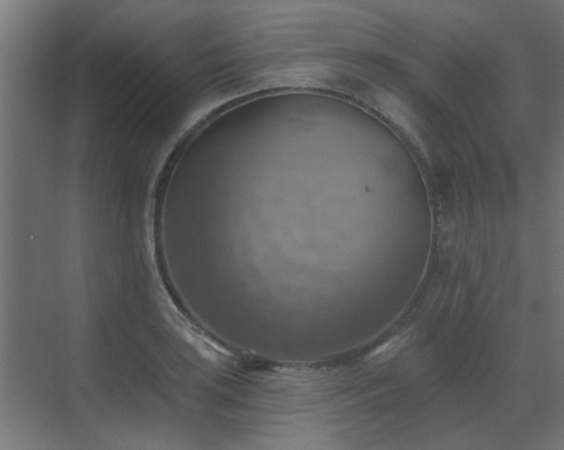 X0000072971035200607211218