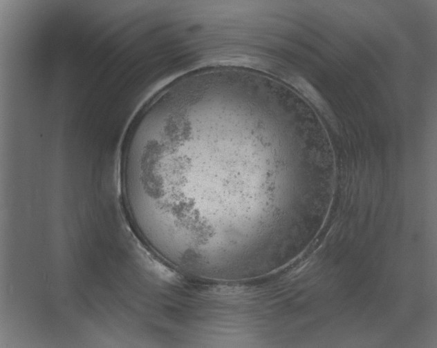 X0000072971036200607211218