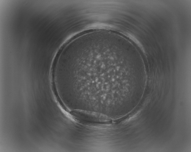 X0000072971037200607211218