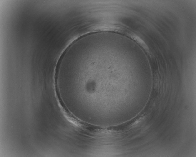 X0000072971039200607211218