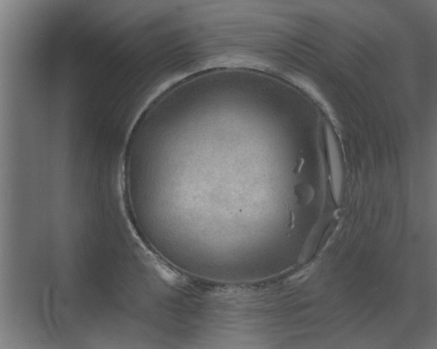 X0000072971040200607211218