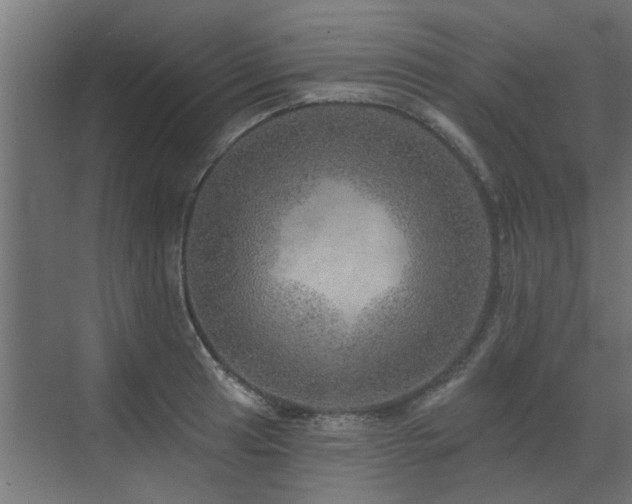 X0000072971041200607211218