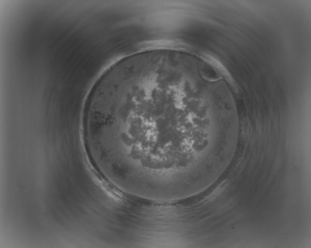 X0000072971043200607211218