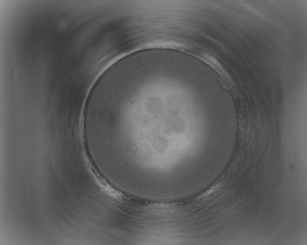 X0000072971044200607211218