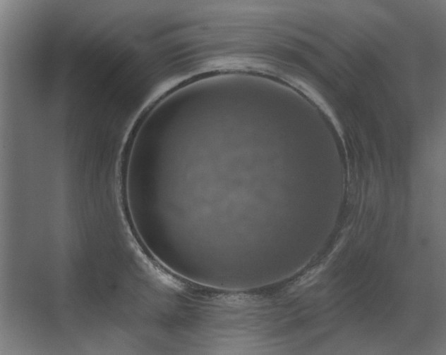 X0000072971045200607211218