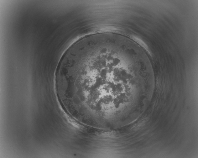 X0000072971047200607211218