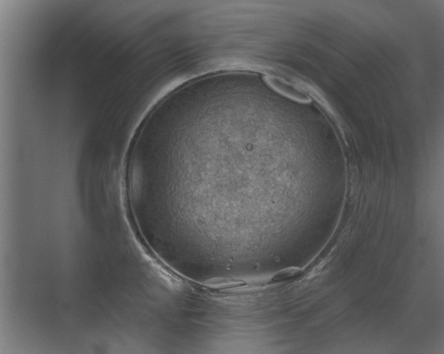 X0000072971048200607211218