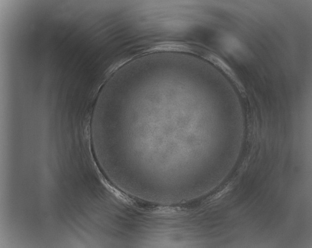 X0000072971049200607211218