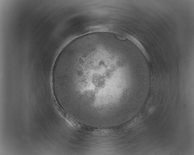 X0000072971051200607211218