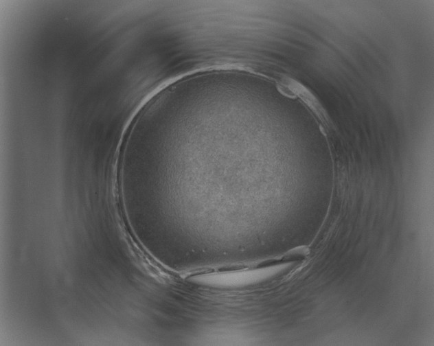 X0000072971052200607211218