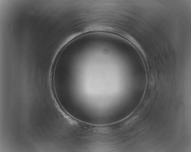 X0000072971053200607211218