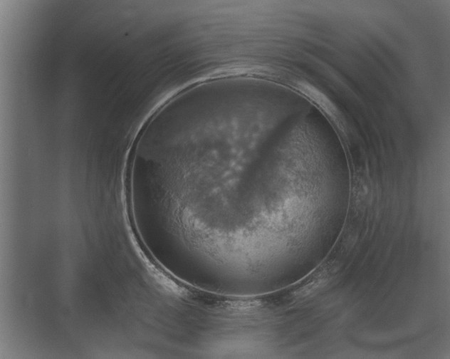 X0000072971055200607211218