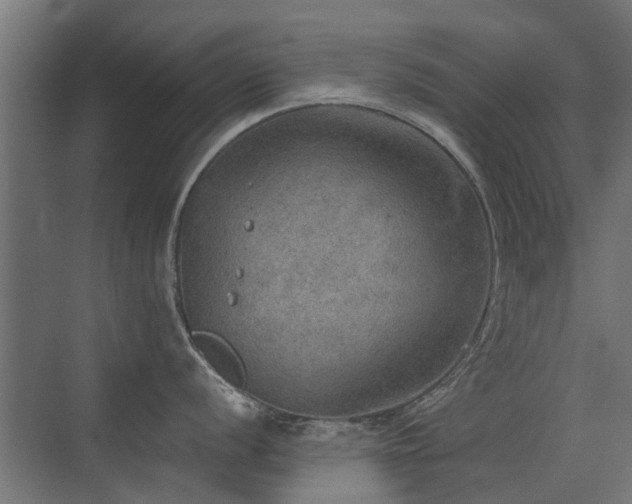 X0000072971056200607211218