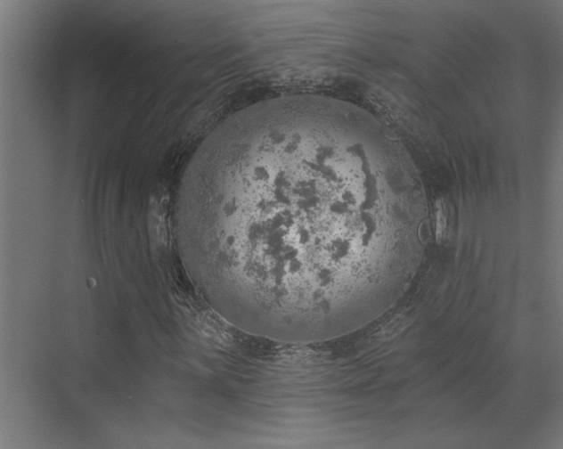 X0000072971059200607211217