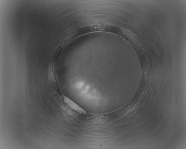 X0000072971060200607211217