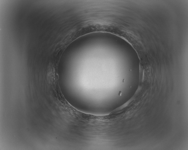 X0000072971061200607211217