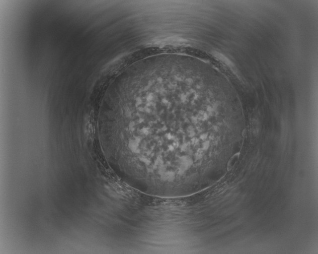 X0000072971063200607211217