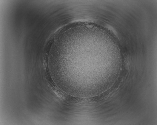 X0000072971064200607211217