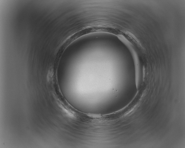 X0000072971065200607211217