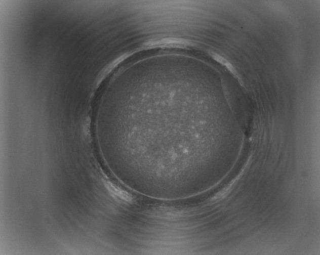 X0000072971066200607211217