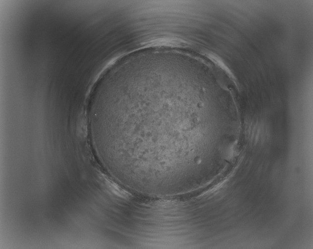 X0000072971067200607211217