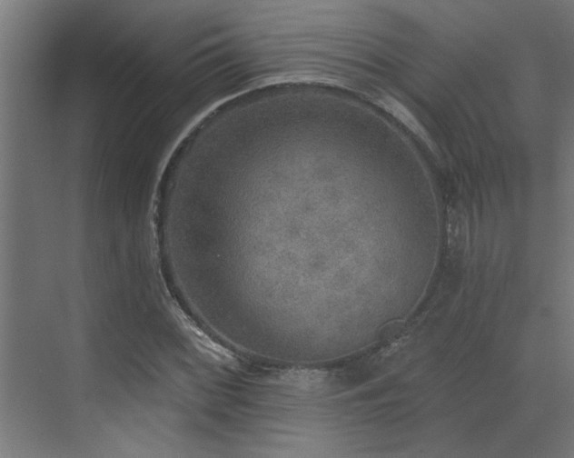 X0000072971068200607211217