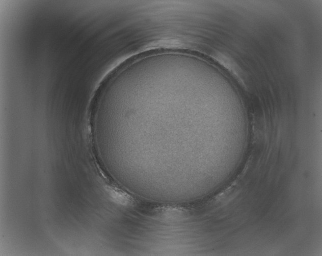 X0000072971070200607211217