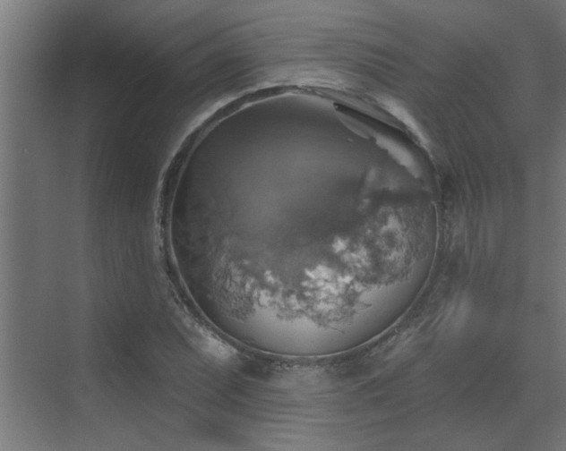 X0000072971071200607211217